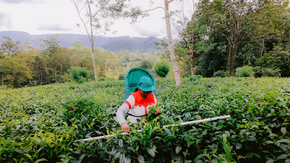 DJI_20250910122023_0085_D